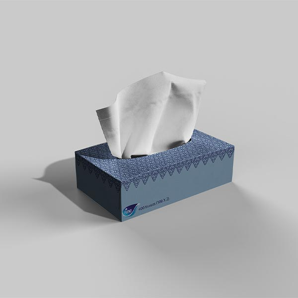 custom-tissue-boxes.webp