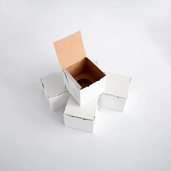 white-cardboard-packaging.webp